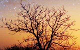 99图库相关骗局复盘：他们最爱利用的心理是侥幸：不确定就别点