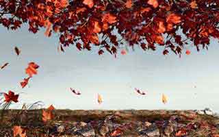 被澳门足球賠率内容影响到生活怎么办？自我评估的7个信号：别让情绪替你做决定