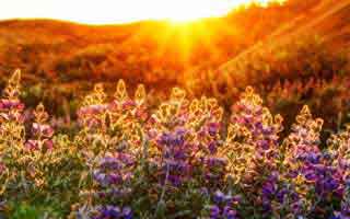 说实话有点慌：我差点因为爱游戏下载踩坑，越往下越不敢信