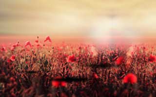 华体会体育官网浏览器跳转——一眼辨别真假入口——别等被盗号才后悔