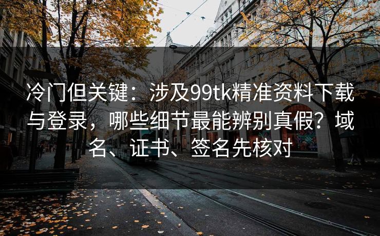 冷门但关键：涉及99tk精准资料下载与登录，哪些细节最能辨别真假？域名、证书、签名先核对